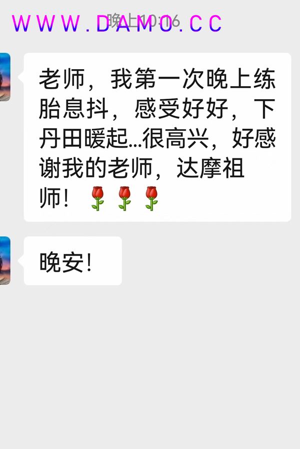 形意拳 易筋经