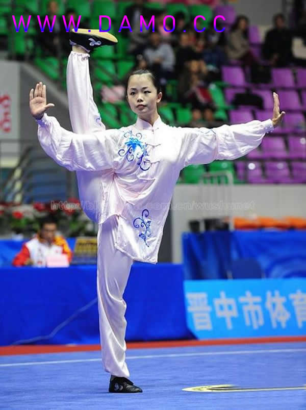 太极拳 易筋经