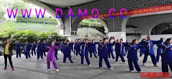 �׽