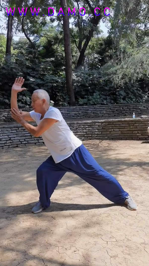 �׽